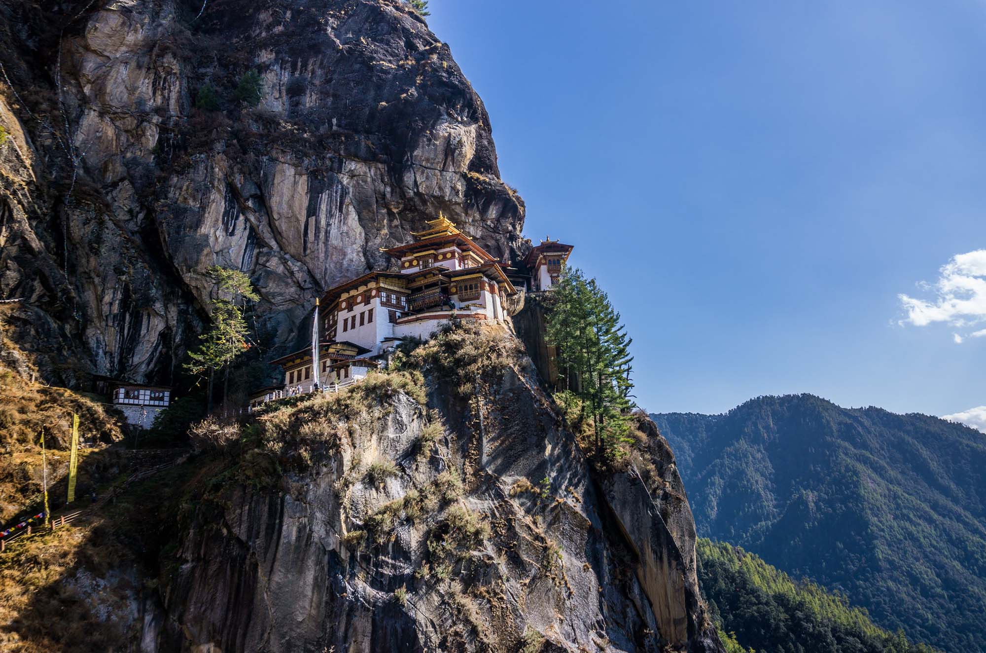 Tiger Nest